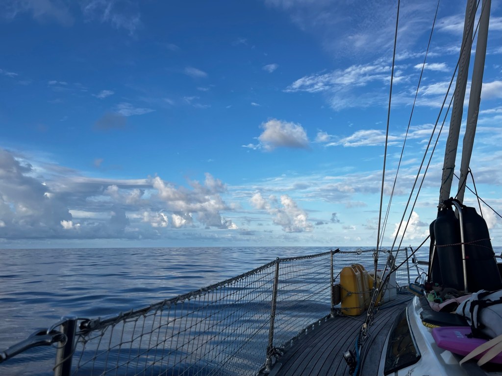Memoires of a Pacific Ocean Crossing: op weg naar de finish – dag&nbsp;2